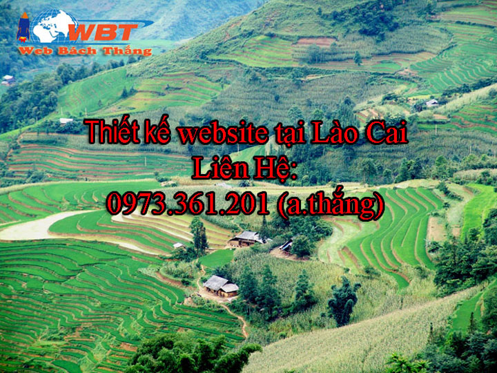 thiết kế website tại lào cai