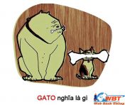 GATO là gì