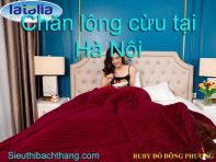 Chăn lông cừu tại hà nội