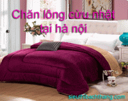 Chăn lông cừu nhật tại hà nội