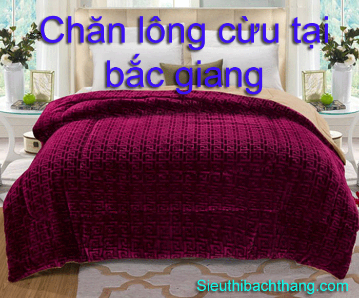 Chăn lông cừu tại bắc giang bền đẹp