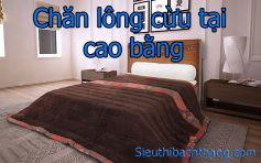 Chăn lông cừu tại cao bằng giá rẻ