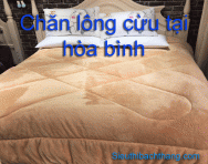 Chăn lông cừu tại hòa bình độ bền rất cao