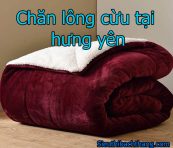 Chăn lông cừu tại hưng yên