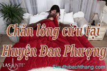 Chăn lông cừu tại Huyện Đan Phượng cao cấp giá rẻ