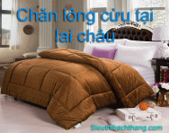 Chăn lông cừu tại lai châu bền đẹp