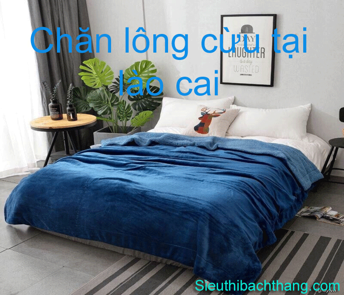 Chăn lông cừu tại lào cai chất lượng tốt