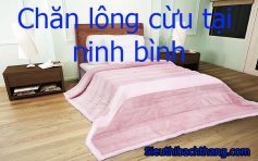 Chăn lông cừu tại ninh bình