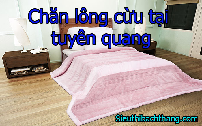 Chăn lông cừu tại tuyên quang giá tốt