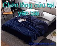 Chăn lông cừu tại yên bái hàng chuẩn