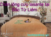 Chăn lông cừu lasante tại bắc từ liêm