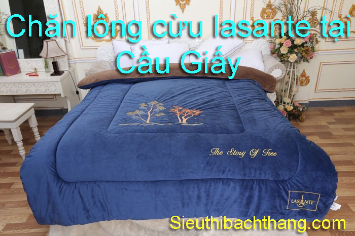 Chăn lông cừu lasante tại cầu giấy