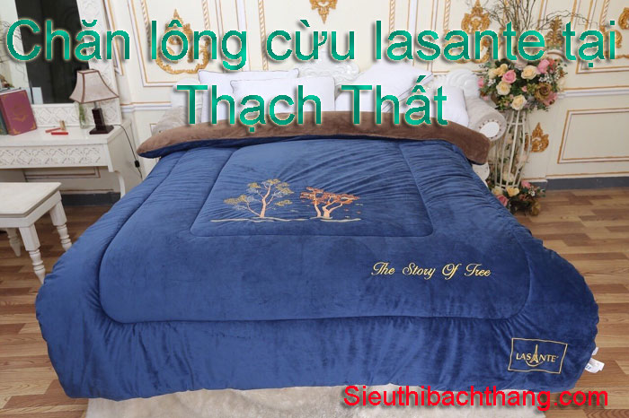 Chăn lông cừu lasante tại thạch thất giá gốc