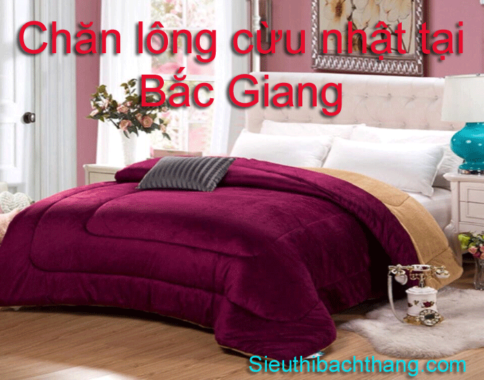 Chăn lông cừu nhật tại bắc giang ấm áp nhất