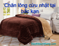 Chăn lông cừu nhật tại bắc kạn cao cấp