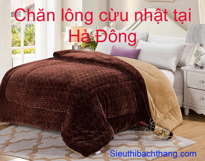 Chăn lông cừu nhật tại hà đông