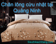 Chăn lông cừu nhật tại quảng ninh cao cấp