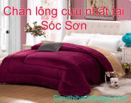 Chăn lông cừu nhật tại sóc sơn cao cấp