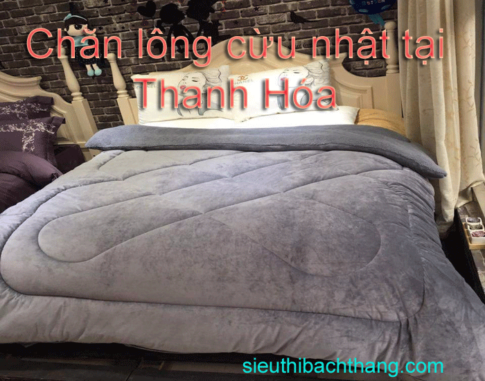 Chăn lông cừu nhật tại thanh hóa