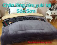 Chăn lông cừu yuki tại sóc sơn