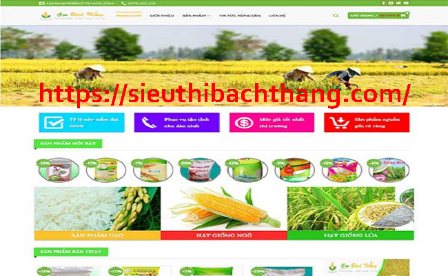thiết kế website bán gạo